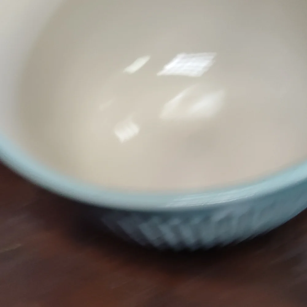 Williams Sonoma Ribbed Ceramic Bowl